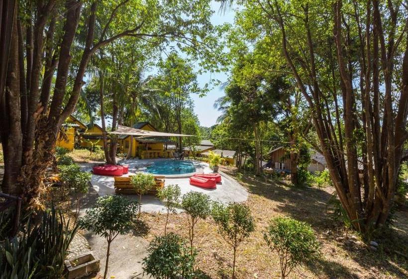 Отель Coconut Garden