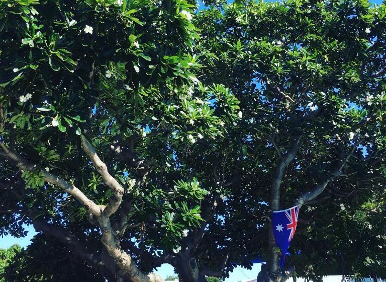 ホテル Darwin Hostel