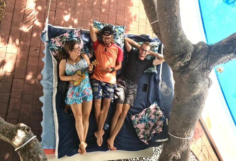 هتل Darwin Hostel