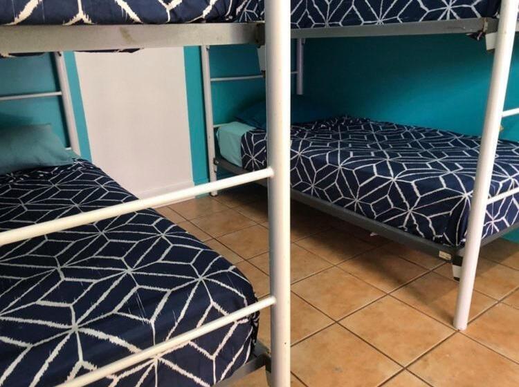 ホテル Darwin Hostel