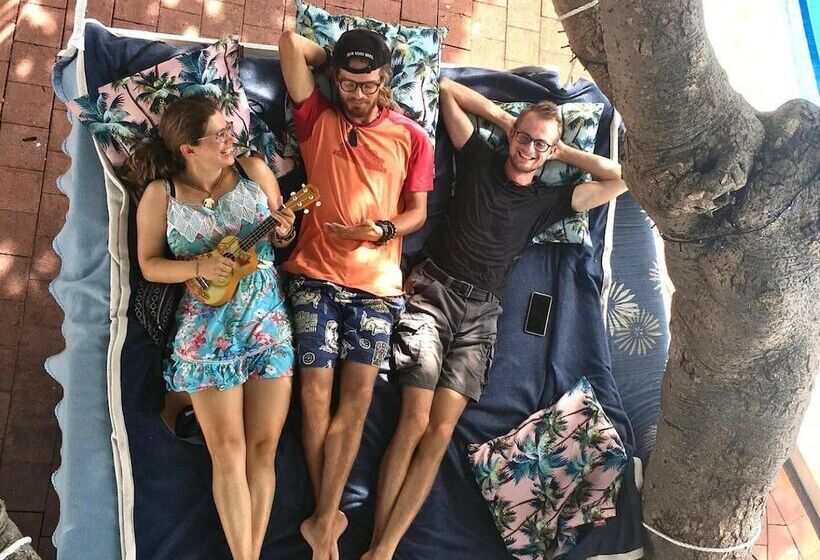 ホテル Darwin Hostel