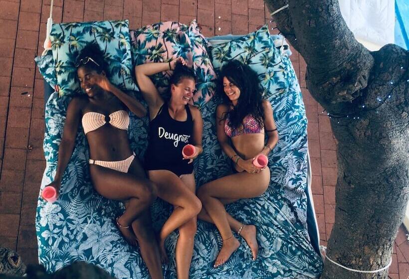 ホテル Darwin Hostel