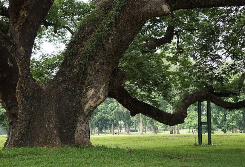 فندق Eastan View Chiang Mai