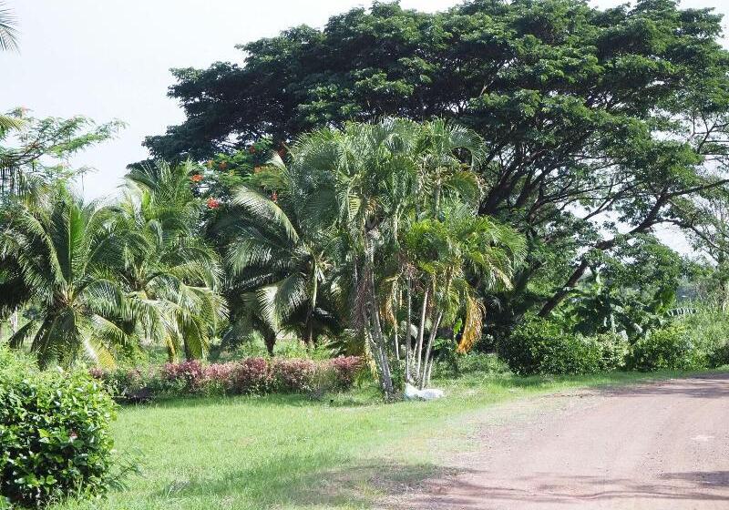 호텔 Goldenland Resort