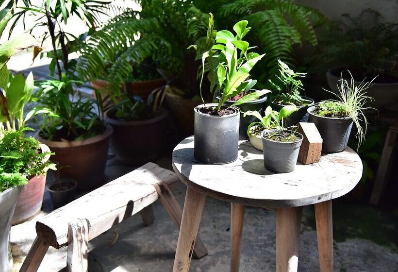 酒店 Hosts Huahin   Hostel