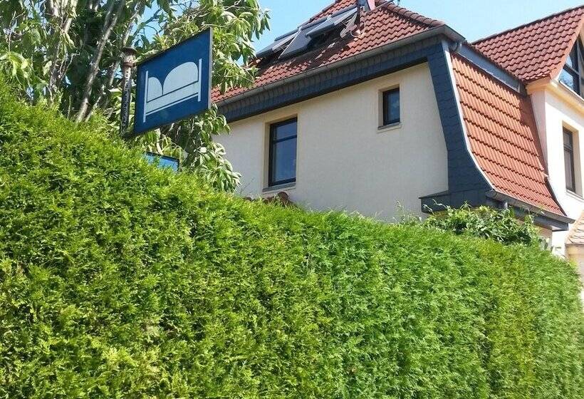 Отель Pension Am Burgwall