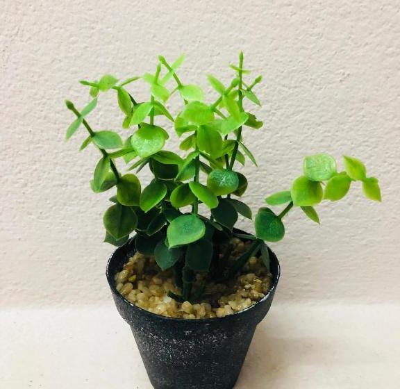 בית מלון כפרי Rada Arak 79/4 Hostel