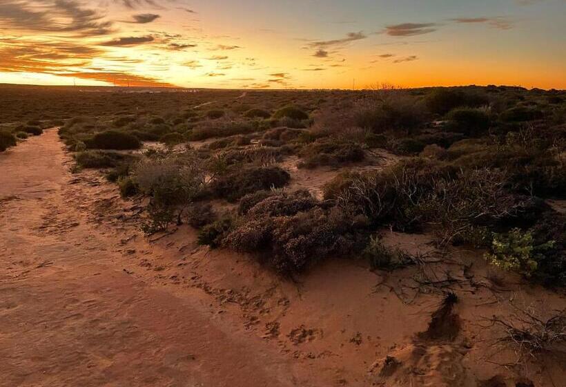 هتل Shark Bay Seafront Apartments