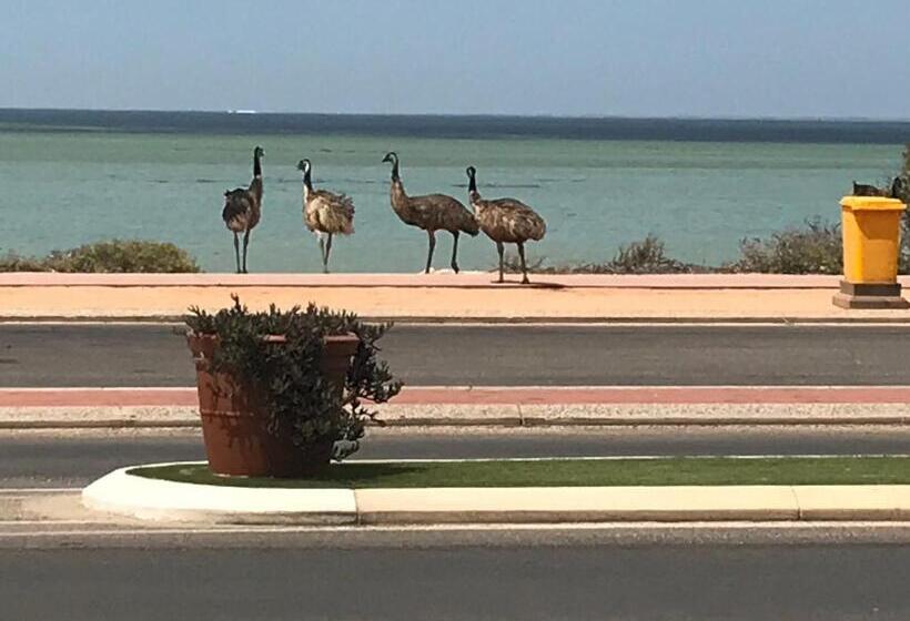 هتل Shark Bay Seafront Apartments