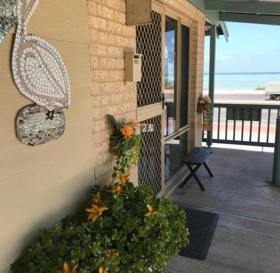 هتل Shark Bay Seafront Apartments