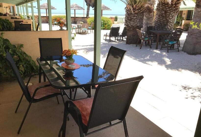 هتل Shark Bay Seafront Apartments