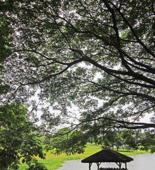 Caliraya Resort Club