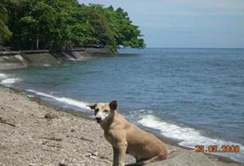 هتل Algen's Dive Resort