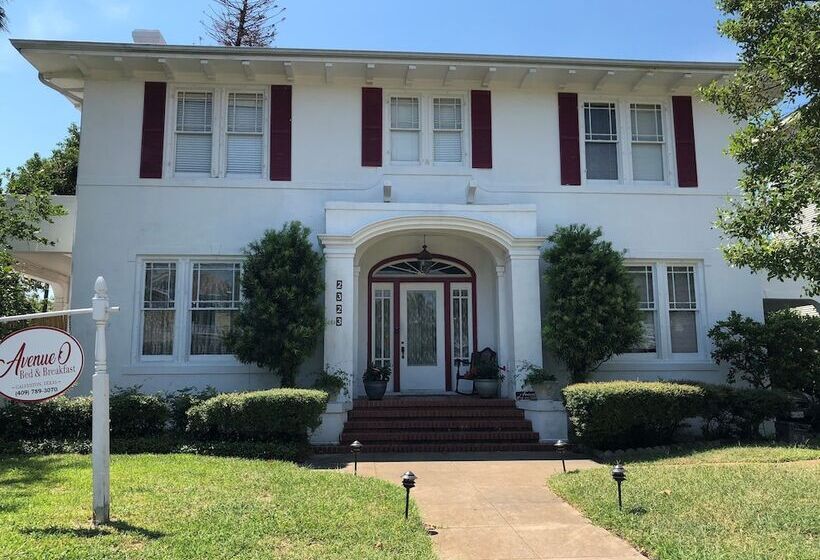 酒店 Avenue O Bed And Breakfast
