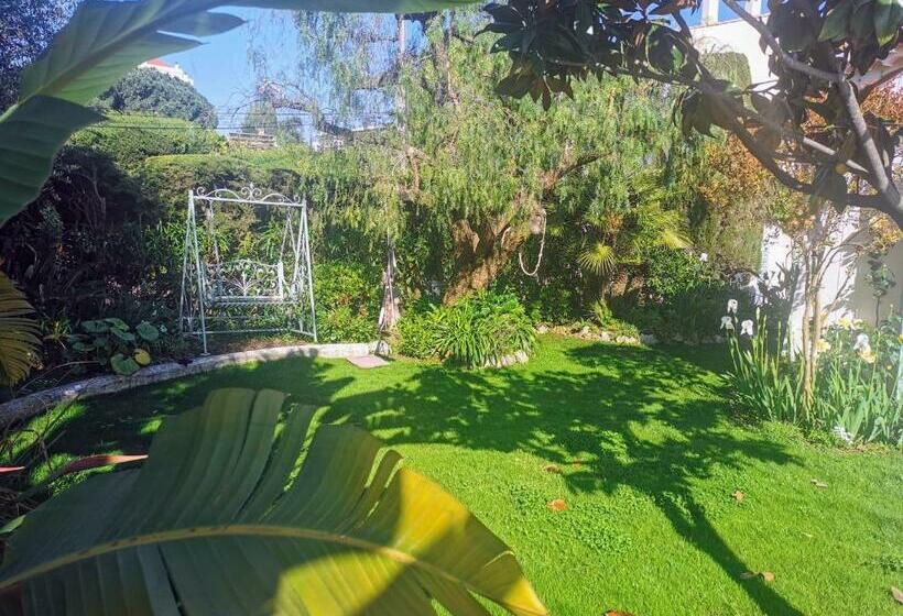 酒店 Blue Dream Cannes Guest House