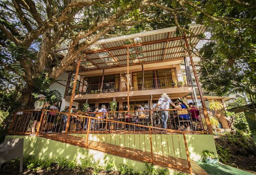 酒店 Cabinas El Pueblo B&b Monteverde