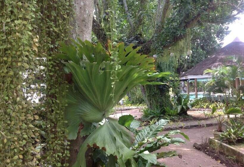 בית מלון כפרי Camiguin Island Golden Sunset Beach Club