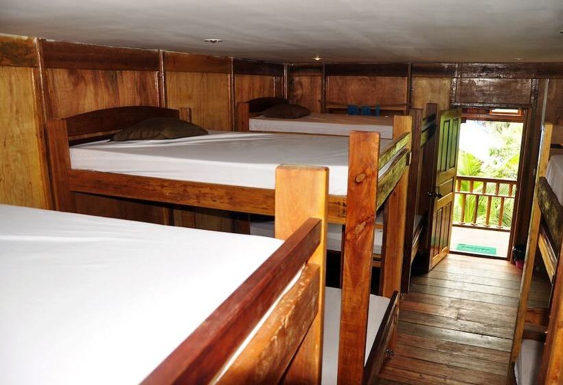 酒店 Coco Boutique Resort Hostel