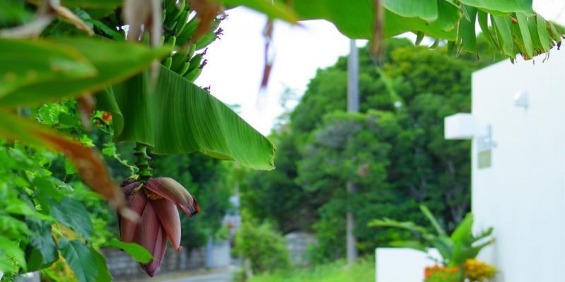 Отель Coldio Pool Villas Sumuide