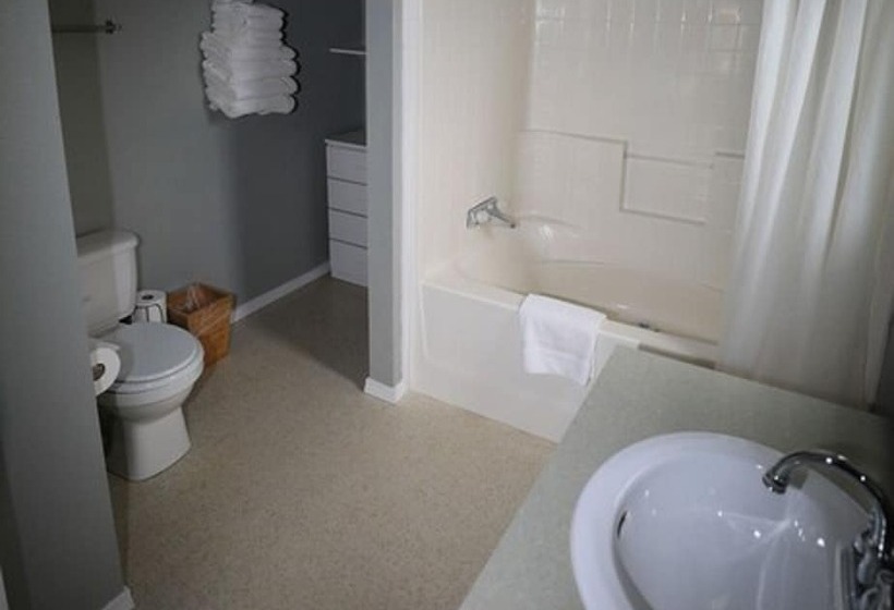 בית מלון כפרי Denali Tri Valley Cabins