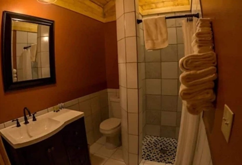 בית מלון כפרי Denali Tri Valley Cabins