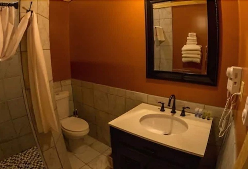 בית מלון כפרי Denali Tri Valley Cabins