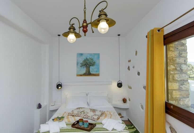 Отель Elaiolithos   Luxury Villa Suites   Adults Only