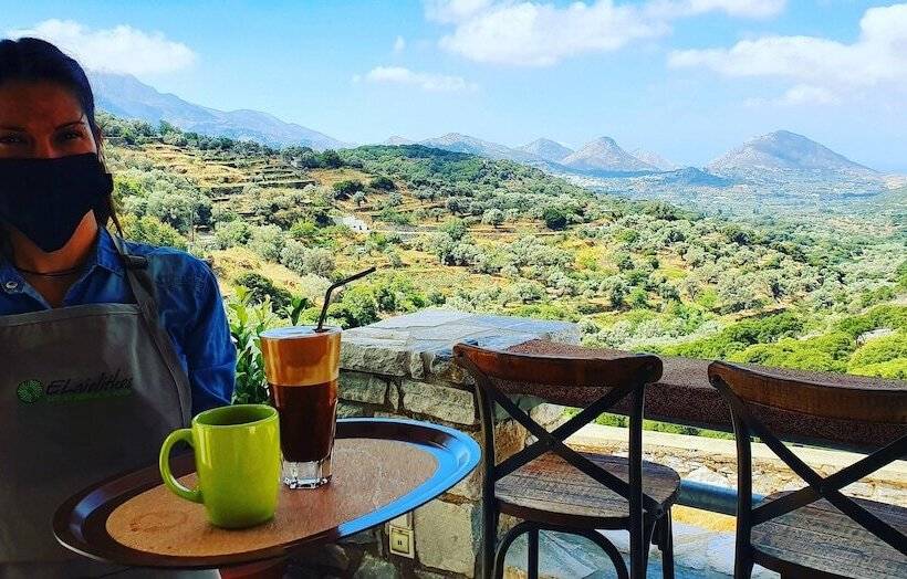 Отель Elaiolithos   Luxury Villa Suites   Adults Only