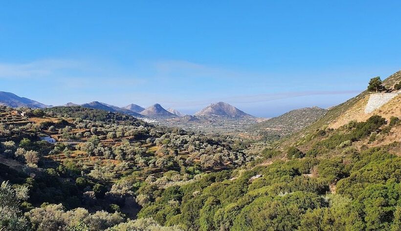 Отель Elaiolithos   Luxury Villa Suites   Adults Only