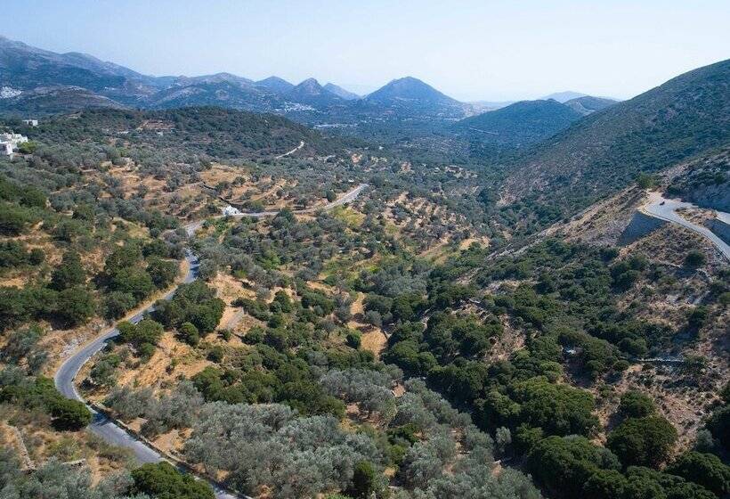 Отель Elaiolithos   Luxury Villa Suites   Adults Only