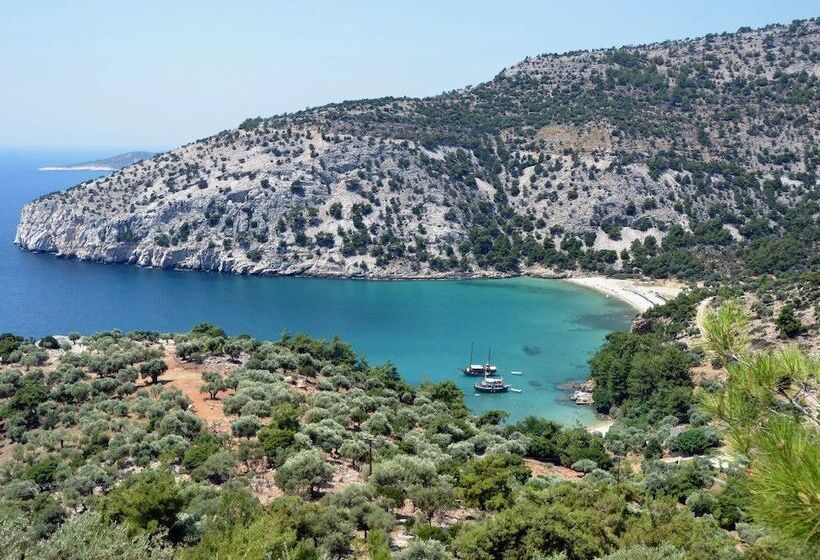 هتل Elaion Terra Boutique Guesthouse