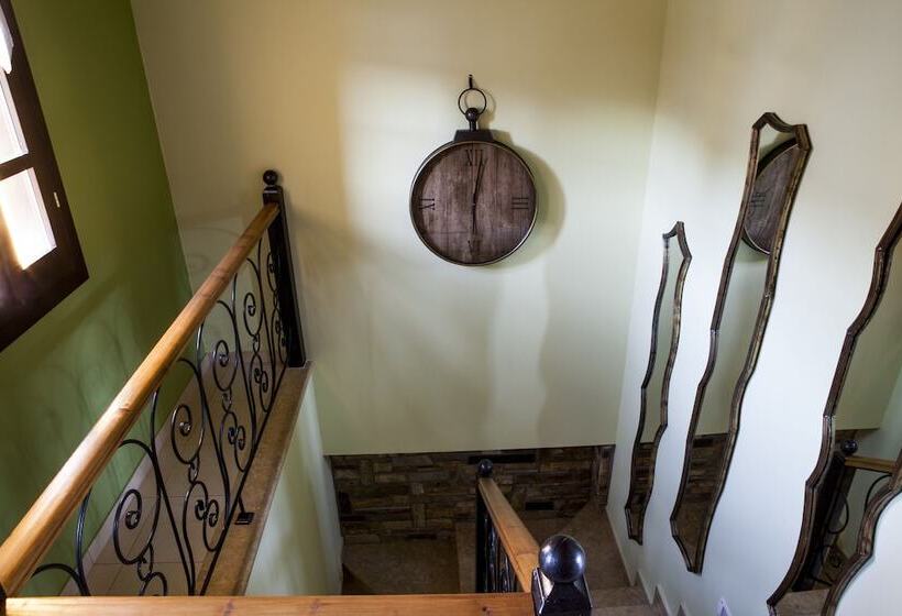 酒店 Elaion Terra Boutique Guesthouse