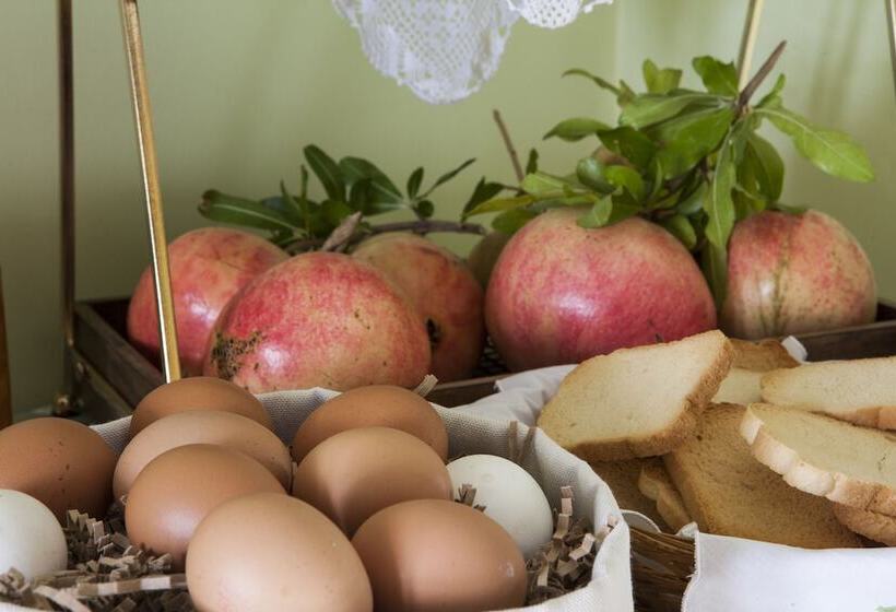 هتل Elaion Terra Boutique Guesthouse