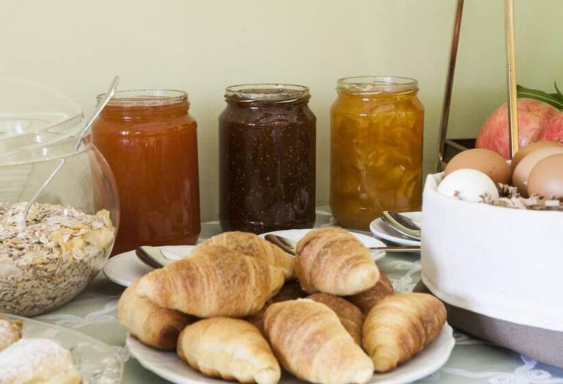 酒店 Elaion Terra Boutique Guesthouse