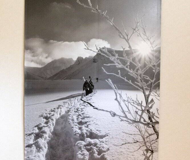 ホテル Freeride Backpackers Lodge Niseko