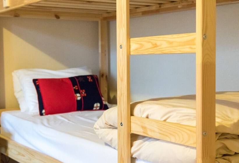 ホテル Freeride Backpackers Lodge Niseko