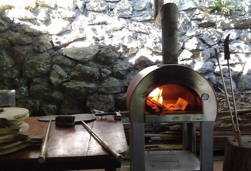 ホテル Manuel Antonio Hostel Resort