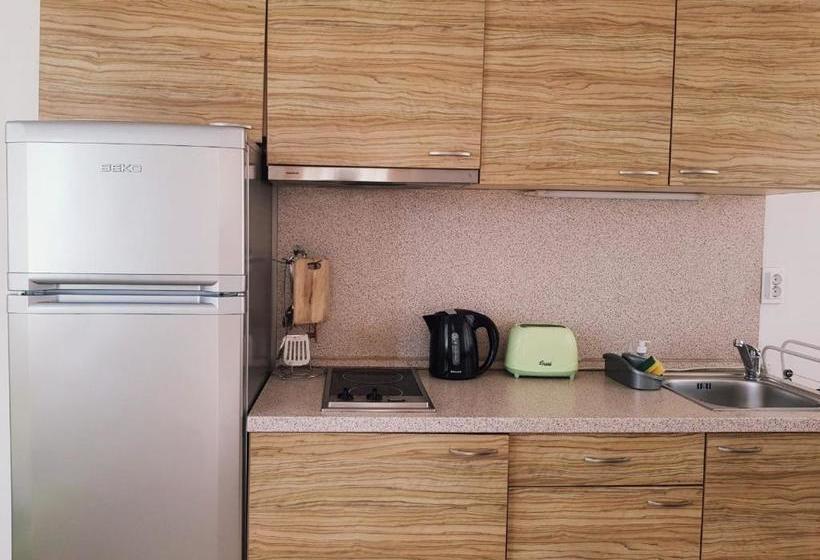 בית מלון כפרי Guest Apartments Salena