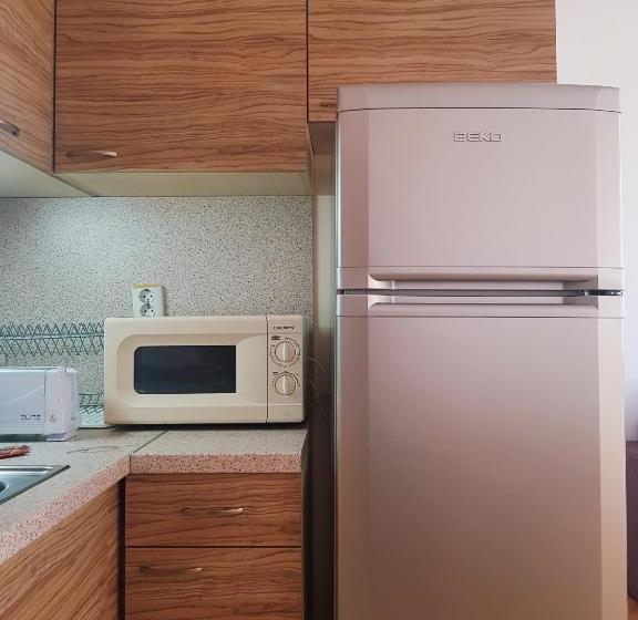 בית מלון כפרי Guest Apartments Salena