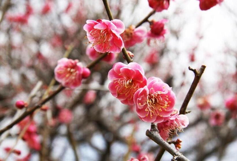 בית מלון כפרי Ikoi No Mura Heritage Minoyama