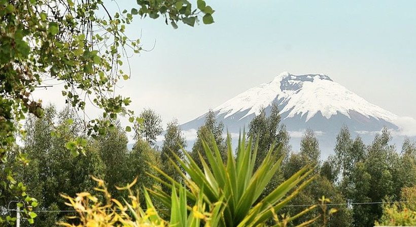 Отель La Quinta Colorada
