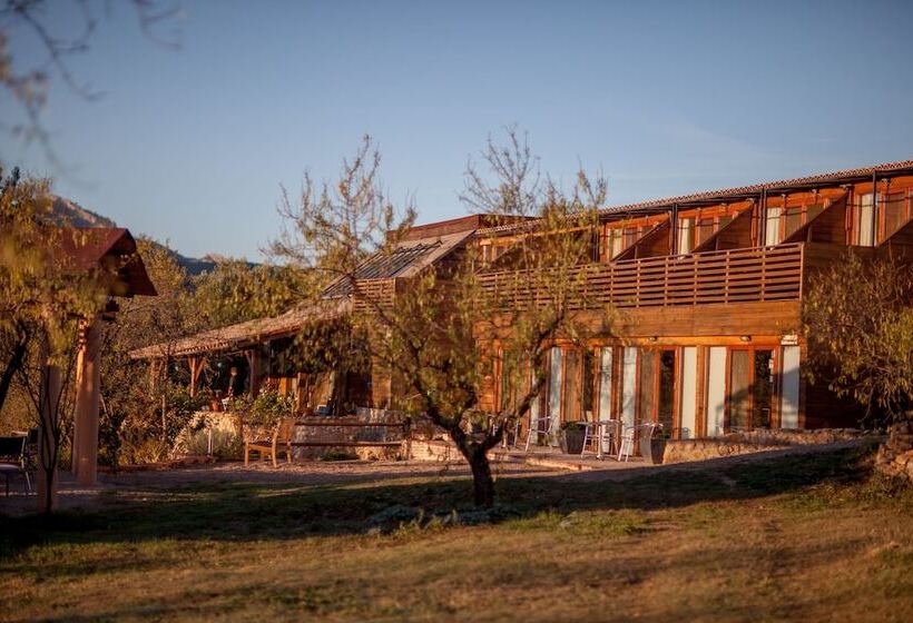 ホテル Mas Del Bot