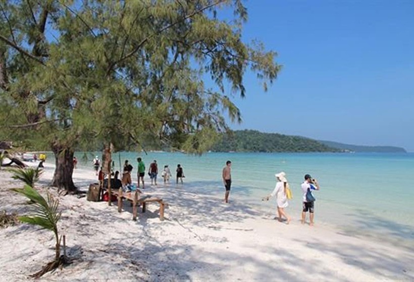 Отель Orchid Resort