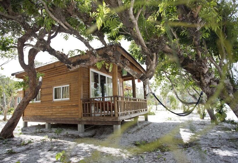 ホテル Orchid Resort