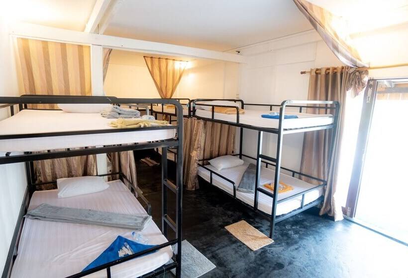 ホテル Orchid Resort