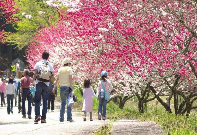 Отель Otogitei Kofu