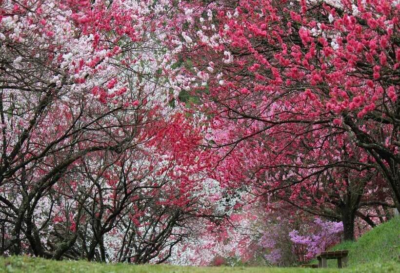 Отель Otogitei Kofu