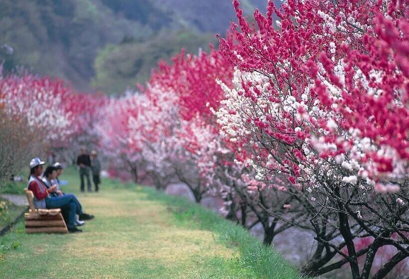 Отель Otogitei Kofu