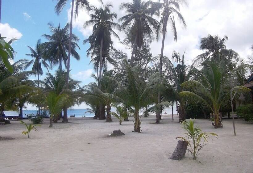 Отель Palm Beach Bungalow Resort