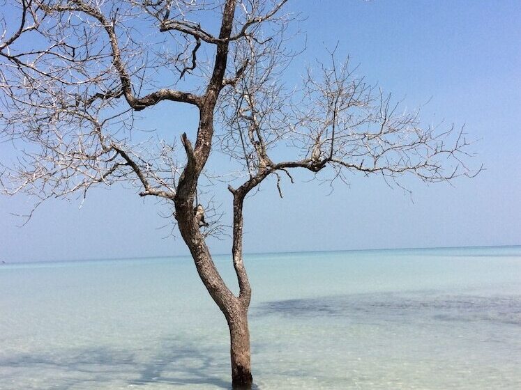 ホテル Palm Beach Bungalow Resort